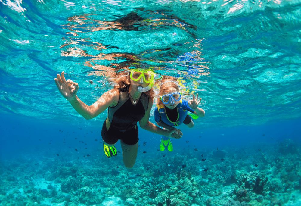 Preparing the necessary gear and planning ahead will make your snorkeling experience in Phu Quoc more complete (Source: Canva)